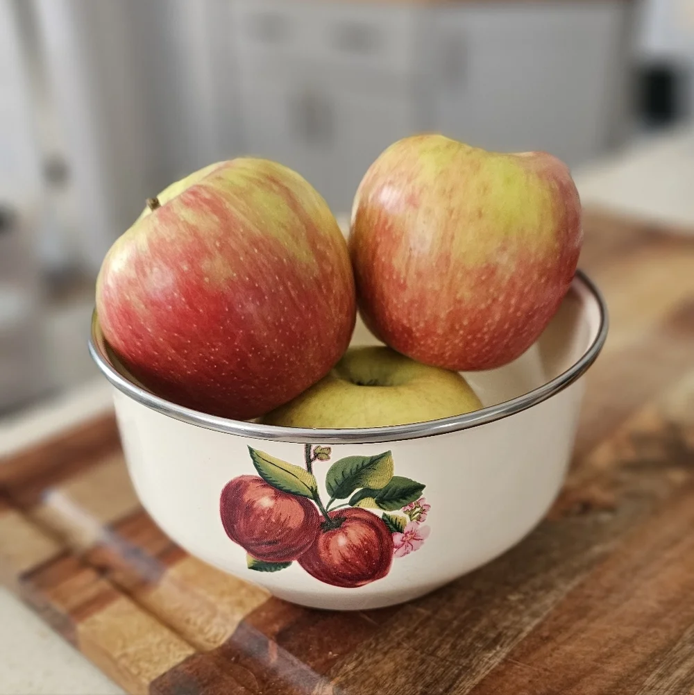Vintage Enamel Bowl with Apple Design